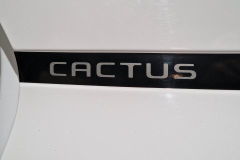 Citroen C4 Cactus 1.2 PureTech Shine